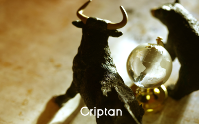 ¿Bull-run de Bitcoin en 2025? 