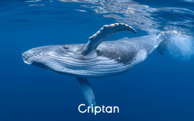 Bitcoin se dispara y las ballenas institucionales hacen olas