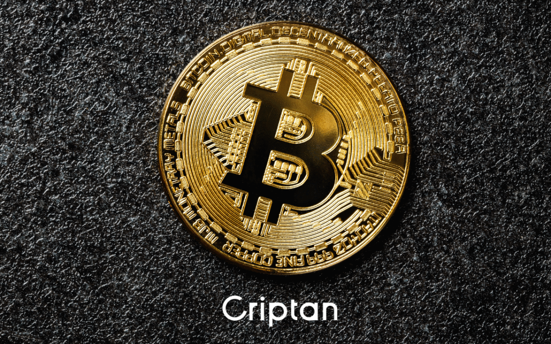 El ecosistema cripto se acelera