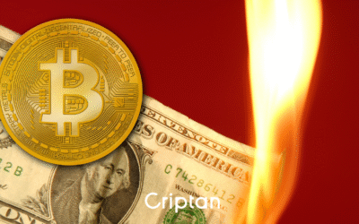 El mercado cripto se desploma tras los nuevos aranceles de Trump a China