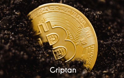 Bitcoin supera los 93.000 dólares mientras el mercado entra en una nueva fase de madurez y tensión