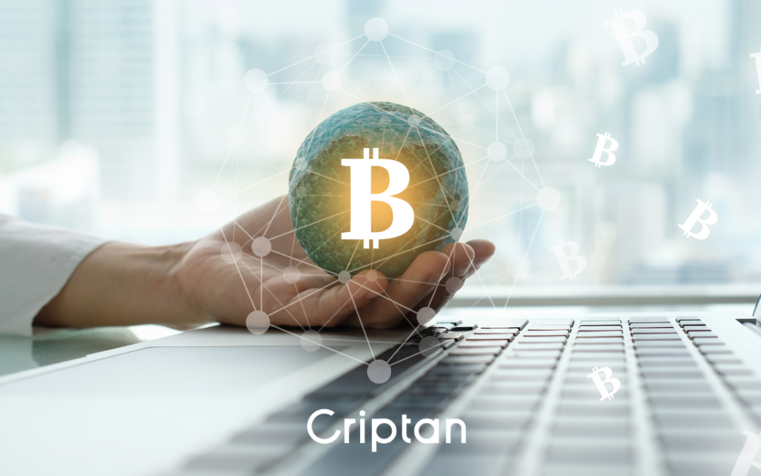 Bitcoin bajo presión, xrp resiste y ethereum en zona crítica