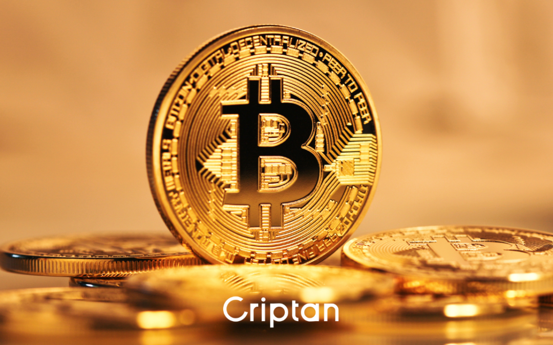Bitcoin aguanta y ethereum coge fuerza