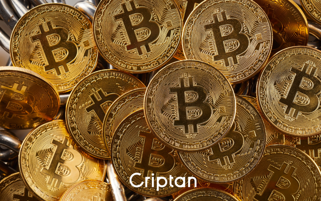 Bitcoin pierde los 77.000$, SpaceX presenta su IPO
