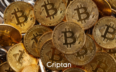 Bitcoin pierde los 77.000$, SpaceX presenta su IPO
